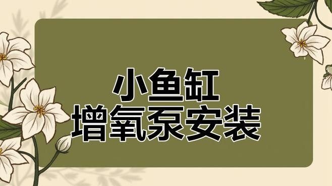 如何設置混養環境的氧氣泵？：小型魚缸氧氣泵怎么選