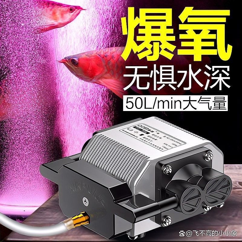 如何設置混養環境的氧氣泵？：小型魚缸氧氣泵怎么選