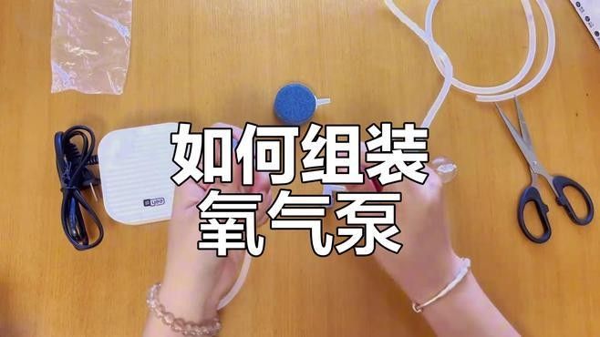 如何設置混養環境的氧氣泵？：小型魚缸氧氣泵怎么選