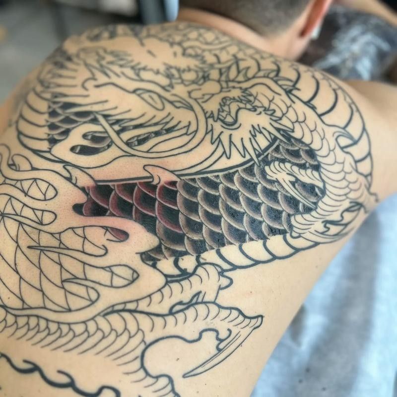 金龍魚鱗片松動會自愈嗎？：金龍魚鱗片松動能否自愈 金龍魚鱗片松動會自愈嗎？：金龍魚鱗片松動能否自愈 龍魚百科 第8張