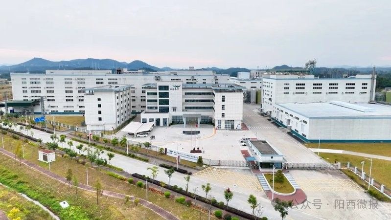 南譙龍魚的飼養方法是什么？，南譙龍魚的飼養方法