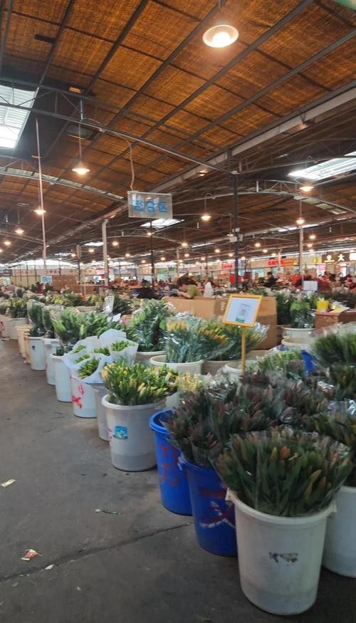 廣州龍魚市場的價格范圍是多少：廣州龍魚市場的價格范圍因品種、品相和規格差異大