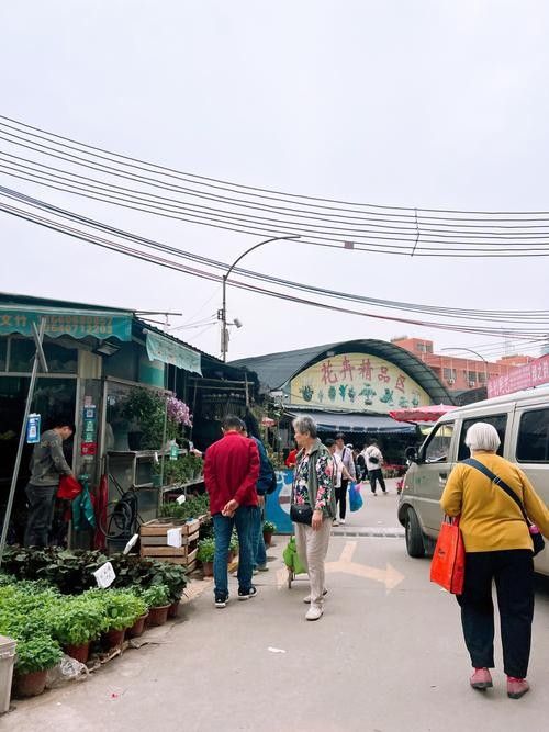 廣州龍魚市場的價格范圍是多少：廣州龍魚市場的價格范圍因品種、品相和規格差異大