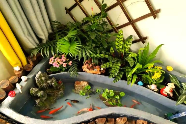 推薦一些更多混養清潔魚品種：清潔魚品種推薦