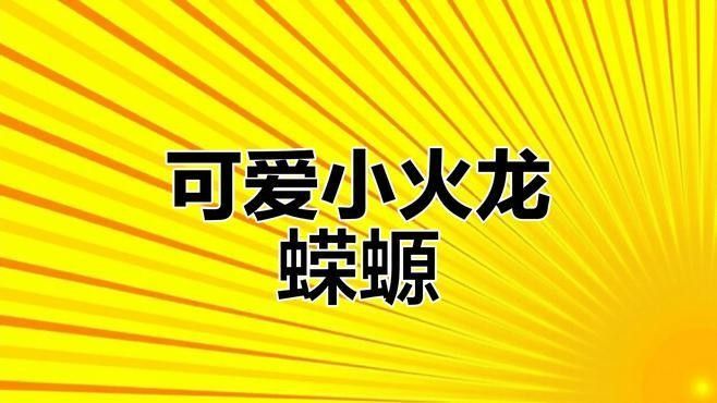 哪種火龍魚品種最稀有？：火龍魚中哪個品種最稀有？