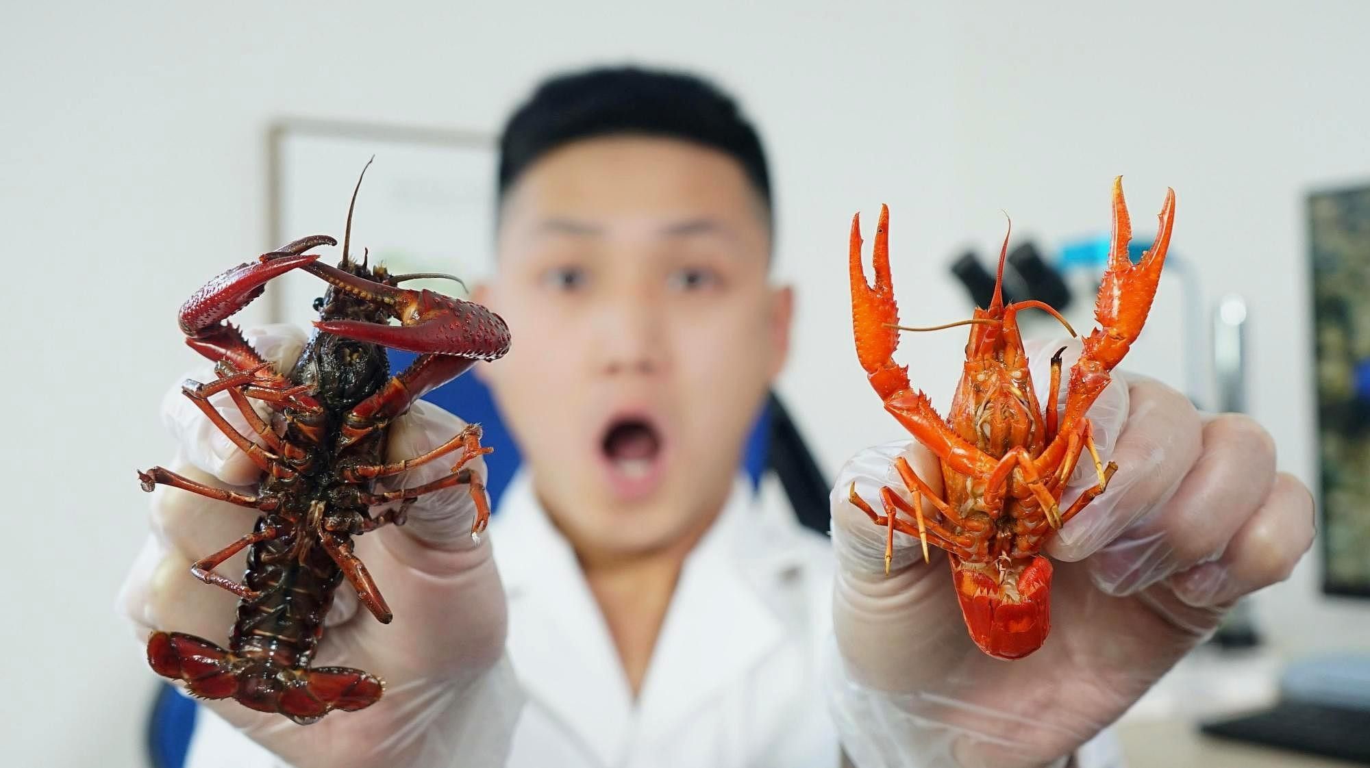 如何確保活餌無寄生蟲：如何防控活餌寄生蟲 如何確保活餌無寄生蟲：如何防控活餌寄生蟲 龍魚百科 第1張