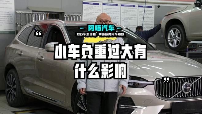 龍貓超重有哪些潛在風險？：龍貓體重管理直接影響健康壽命 龍貓超重有哪些潛在風險？：龍貓體重管理直接影響健康壽命 龍魚百科 第9張