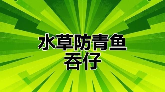 如何分離親魚以避免吞食魚卵？：如何防止母魚吃小魚苗