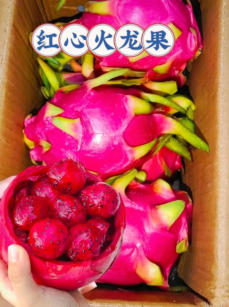 如何挑選紅心火龍果：挑選紅心火龍果時，可通過以下關鍵特征判斷品質：09:00