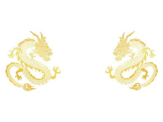 金龍壁紙有哪些風格可選：金龍壁紙大賞