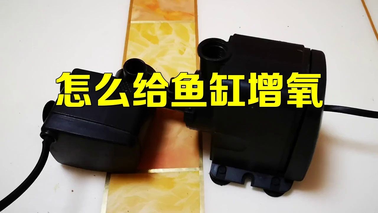 哪種增氧方法最有效：葉輪式增氧機通過水體上下循環顯著提升溶氧量