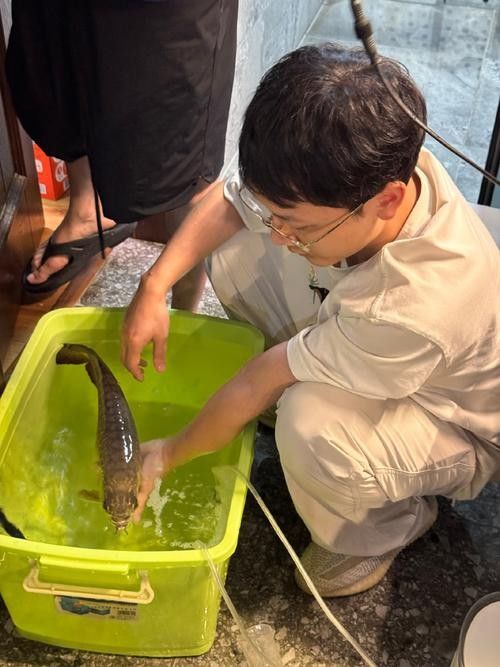 哪種龍魚麻醉藥性價比最高：最新動物麻醉藥價格、批發報價、價格大全
