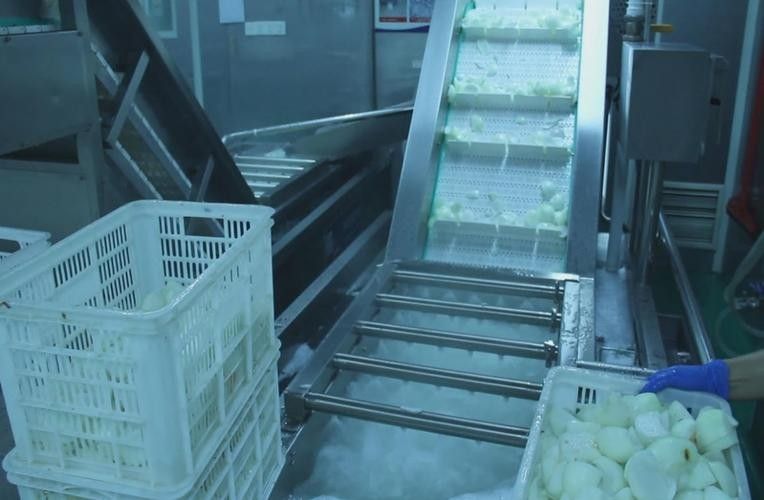 嘉興龍魚養殖場哪家最好：嘉興地區龍魚養殖場公開數據