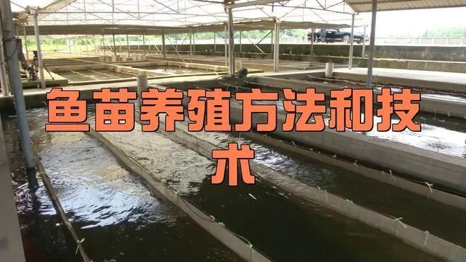 嘉興龍魚養殖場哪家最好：嘉興地區龍魚養殖場公開數據