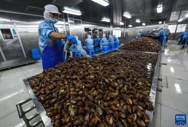 嘉興龍魚養殖場哪家最好：嘉興地區龍魚養殖場公開數據
