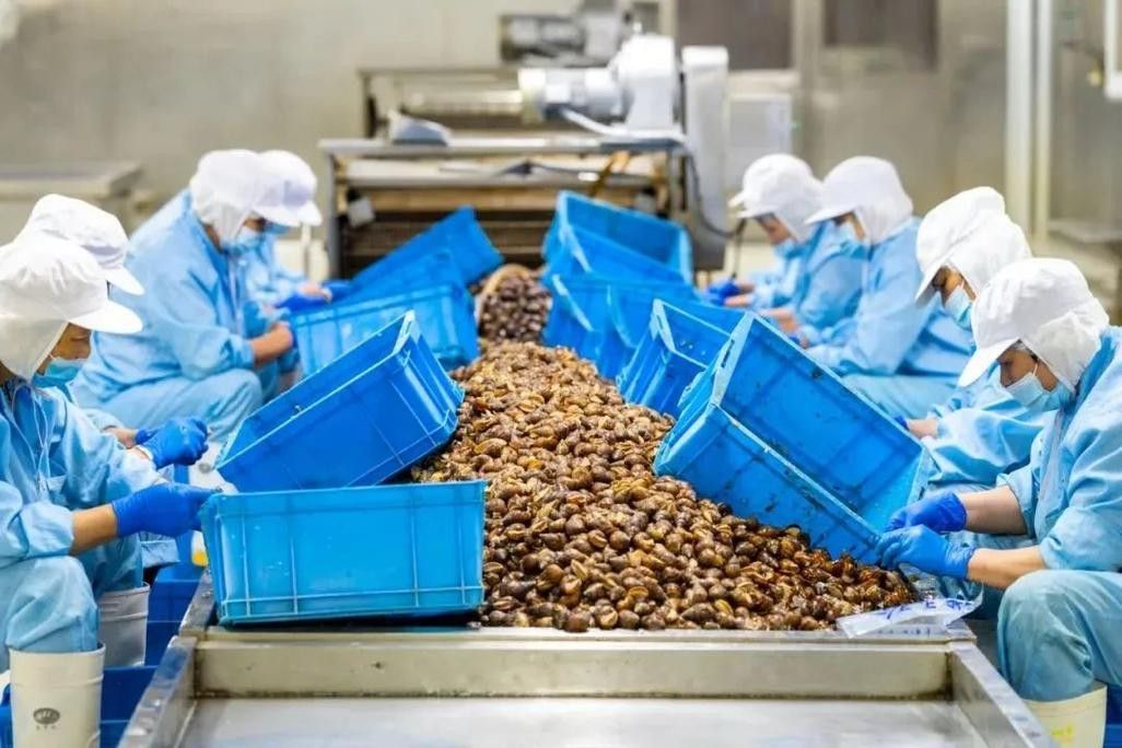 嘉興龍魚養殖場哪家最好：嘉興地區龍魚養殖場公開數據