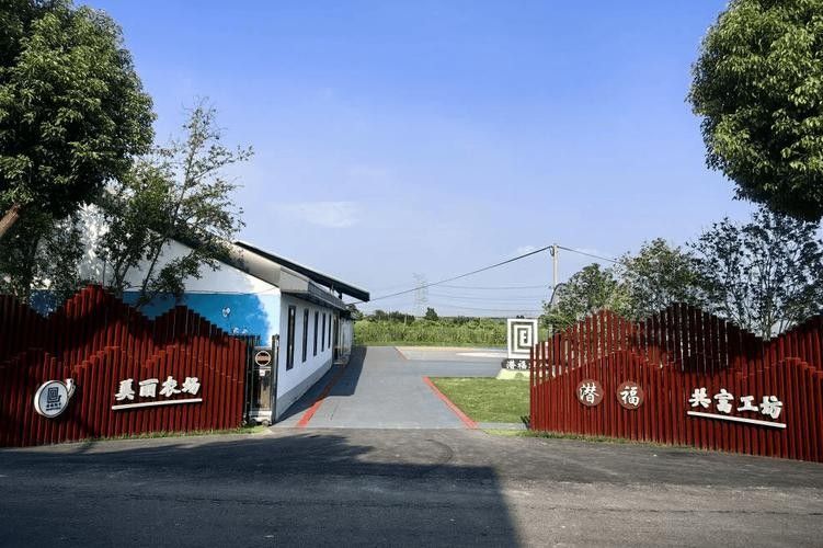 嘉興龍魚養殖場哪家最好：嘉興地區龍魚養殖場公開數據