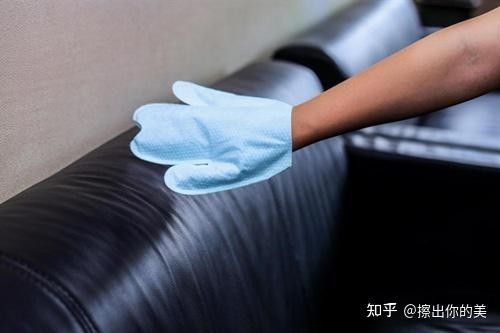 龍魚手帕如何保養(yǎng)？：龍魚手帕如何搭配使用