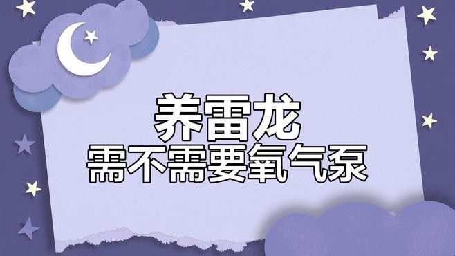 雷龍魚多久不到水面會(huì)溺水：雷龍魚對(duì)水面空氣的依賴程度分析雷龍魚需要打氧嗎