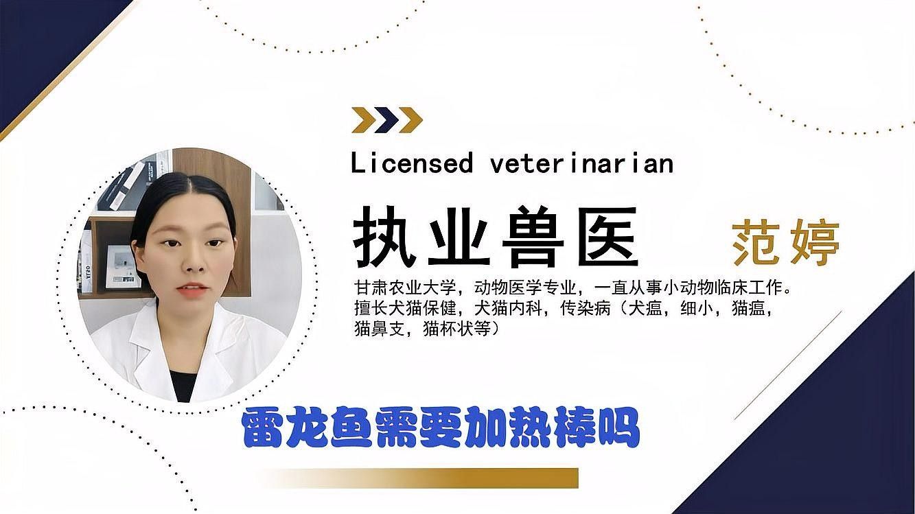 哪些雷龍魚需要加熱棒：雷龍魚是否需要加熱棒 哪些雷龍魚需要加熱棒：雷龍魚是否需要加熱棒 龍魚百科 第1張