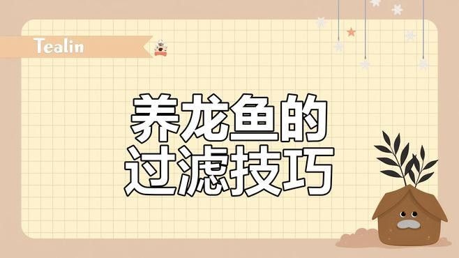 龍魚缸過濾系統有哪些類型：16種魚缸過濾設計原理介紹，總有一種適合你!