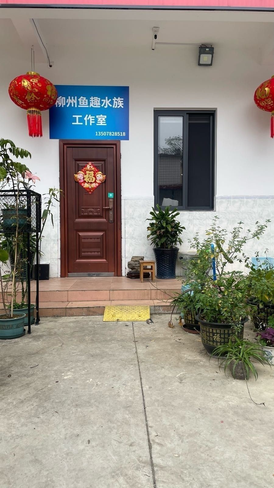 恭城哪個水族館龍魚好？祥龍魚場龍魚：恭城地區暫未明確提及水族館或祥龍魚場分店結合資源