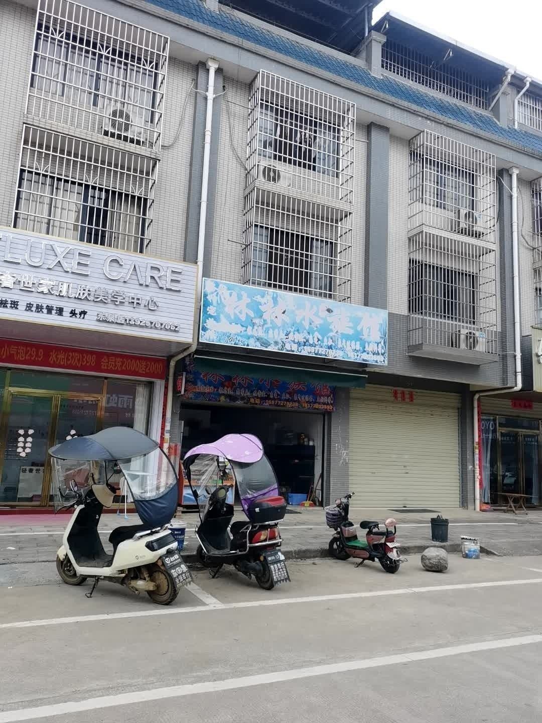 恭城哪個水族館龍魚好？祥龍魚場龍魚：恭城地區暫未明確提及水族館或祥龍魚場分店結合資源