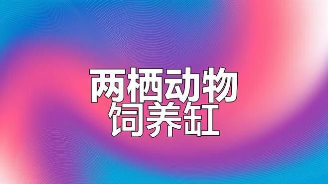 火龍蠑螈需要多大的飼養(yǎng)空間：東方蠑螈的基本信息 火龍蠑螈需要多大的飼養(yǎng)空間：東方蠑螈的基本信息 龍魚(yú)百科 第3張