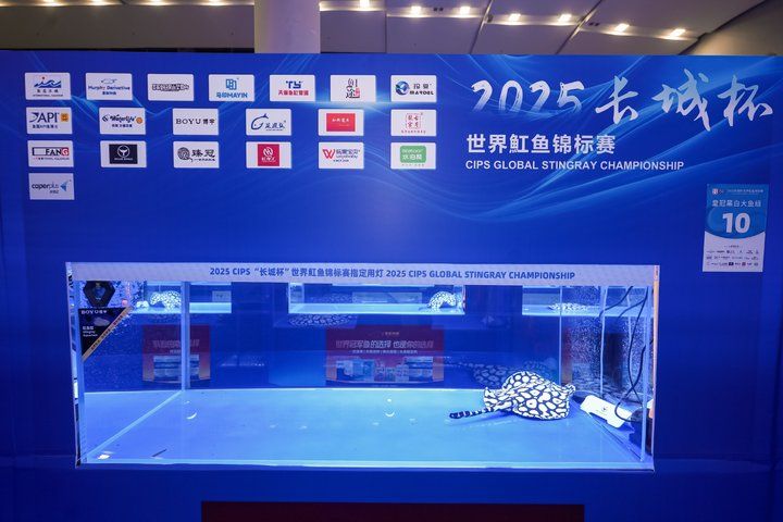 2025 長城杯世界龍虎魟魚錦標賽（魟魚組）