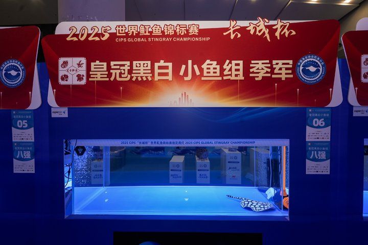 2025 長城杯世界龍虎魟魚錦標賽（魟魚組）