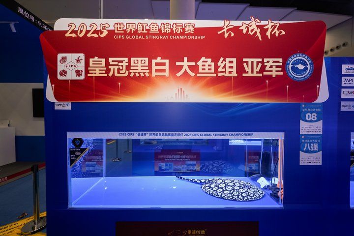 2025 長城杯世界龍虎魟魚錦標賽（魟魚組）