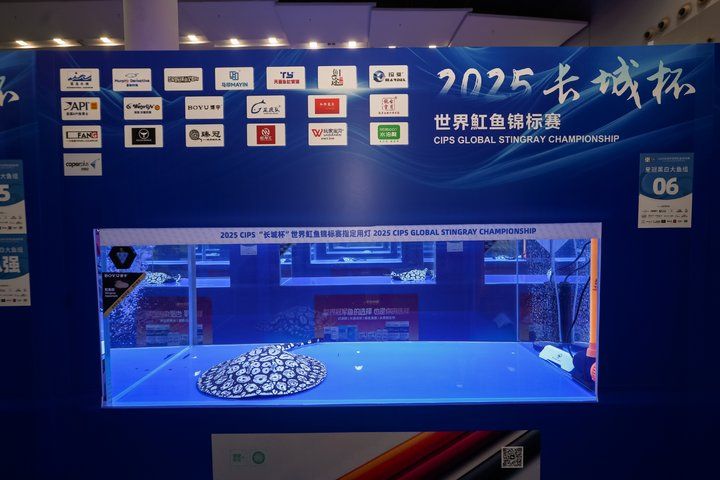 2025 長城杯世界龍虎魟魚錦標賽（魟魚組）