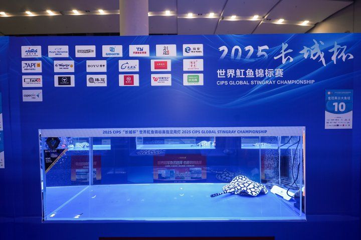 2025 長城杯世界龍虎魟魚錦標賽（魟魚組）