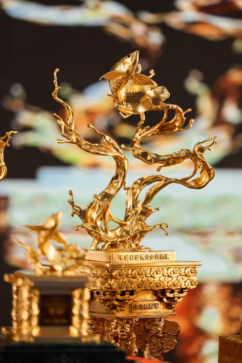 2025 長城杯世界龍虎魟魚錦標賽（虎魚組）：2025長城杯世界龍虎魟魚錦標賽虎魚組 2025 長城杯世界龍虎魟魚錦標賽（虎魚組）：2025長城杯世界龍虎魟魚錦標賽虎魚組 2025長城杯龍魚大賽 第15張