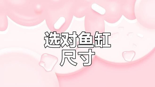 混養時應該如何選擇合適的魚缸大?。簍wincamfx魚缸尺寸解析 混養時應該如何選擇合適的魚缸大?。簍wincamfx魚缸尺寸解析 龍魚百科 第2張