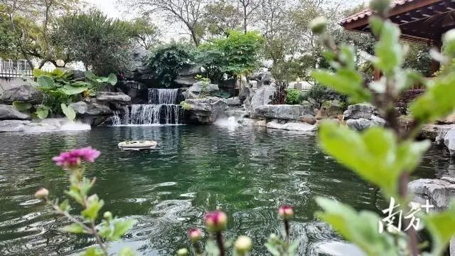 潮州金龍魚提供住宿嗎？：潮州金龍魚提供住宿福利