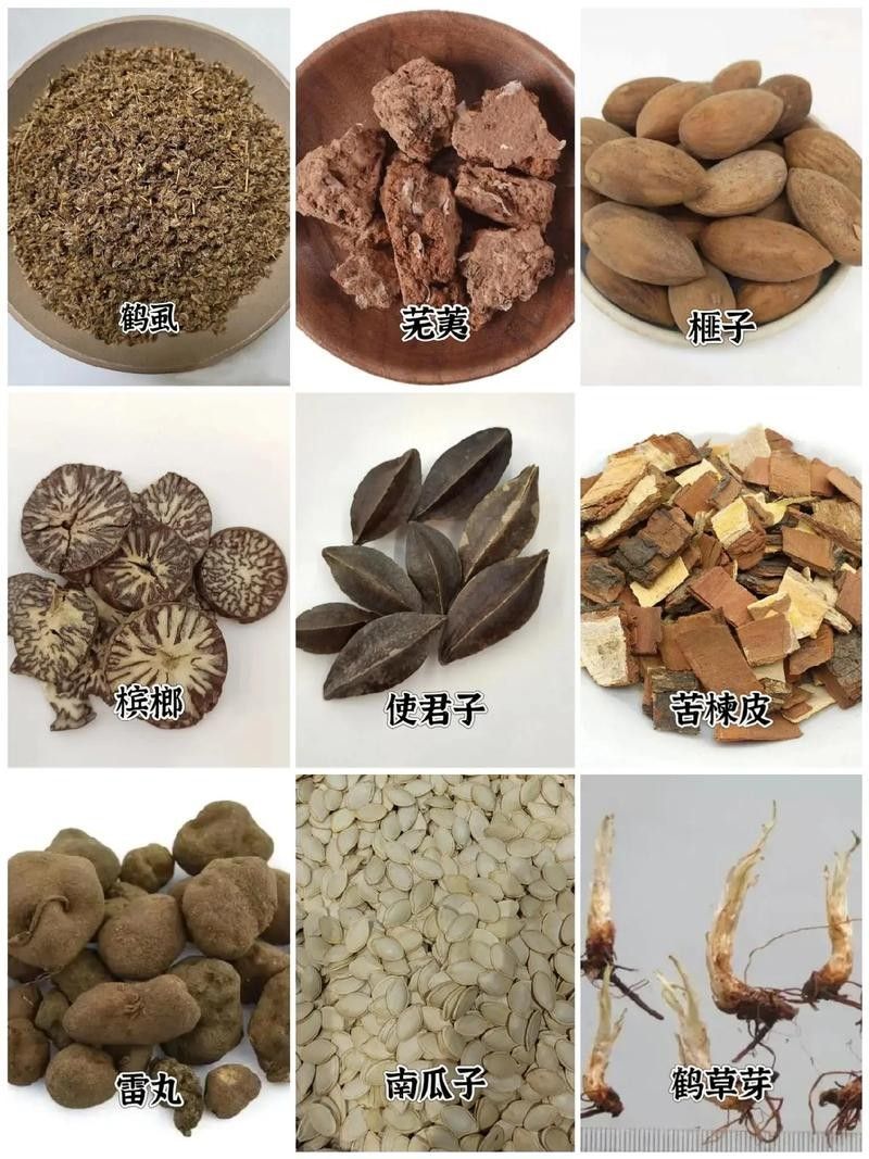 哪個品牌的中藥效果最好：中藥品牌選擇 哪個品牌的中藥效果最好：中藥品牌選擇 龍魚百科 第6張