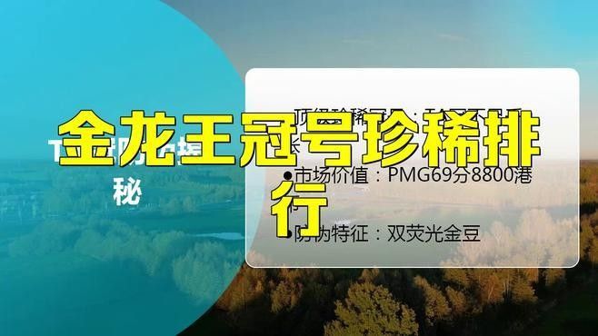金龍幣有哪些特定冠號？：1,80版1元金龍幣的特定冠號