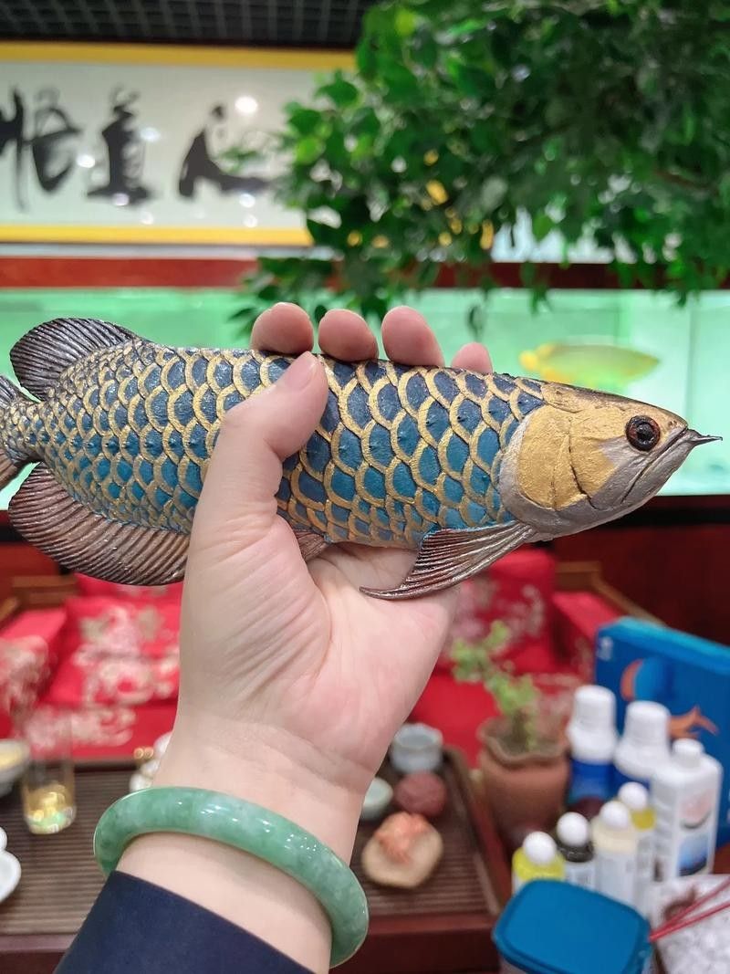靛藍系列炮頭金龍有哪些特點：斗羅大陸十大龍系魂獸戰力排行靛藍系列炮頭金龍適合哪些水族箱