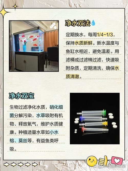 如何維持曼龍魚缸水質(zhì)穩(wěn)定：養(yǎng)苔失敗，曼龍意外去世，水質(zhì)波動大揭秘
