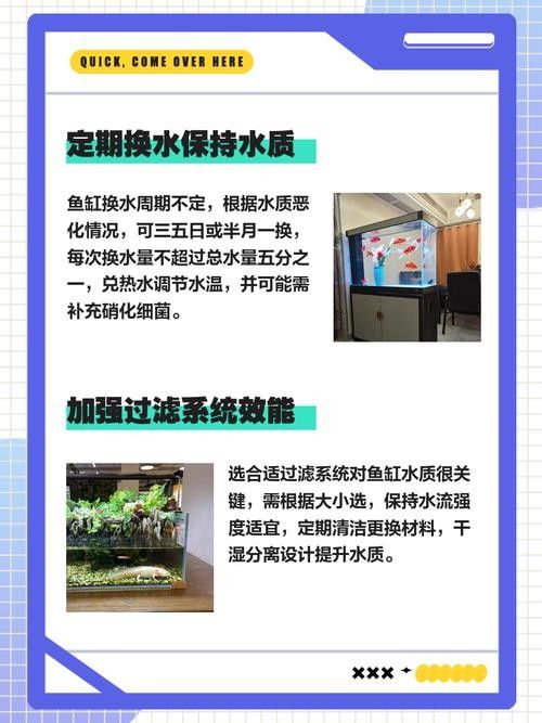 如何維持曼龍魚缸水質(zhì)穩(wěn)定：養(yǎng)苔失敗，曼龍意外去世，水質(zhì)波動大揭秘