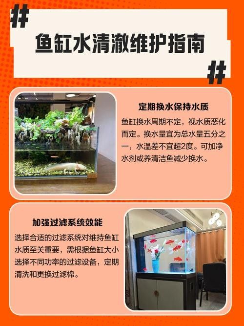 如何維持曼龍魚缸水質(zhì)穩(wěn)定：養(yǎng)苔失敗，曼龍意外去世，水質(zhì)波動大揭秘