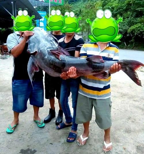 給我一些瀾滄江龍魚的高清圖片：云南瀾滄江水底發現神秘“龍影”