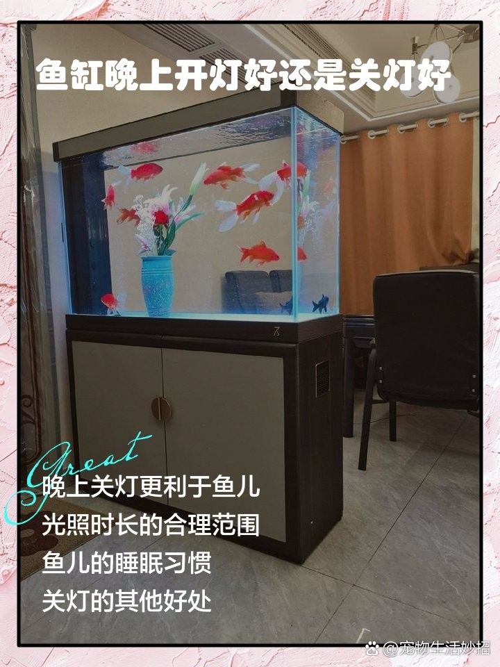 龍魚需要24小時開燈嗎：—龍魚不需要24小時開燈，長期開燈會影響其休息和健康