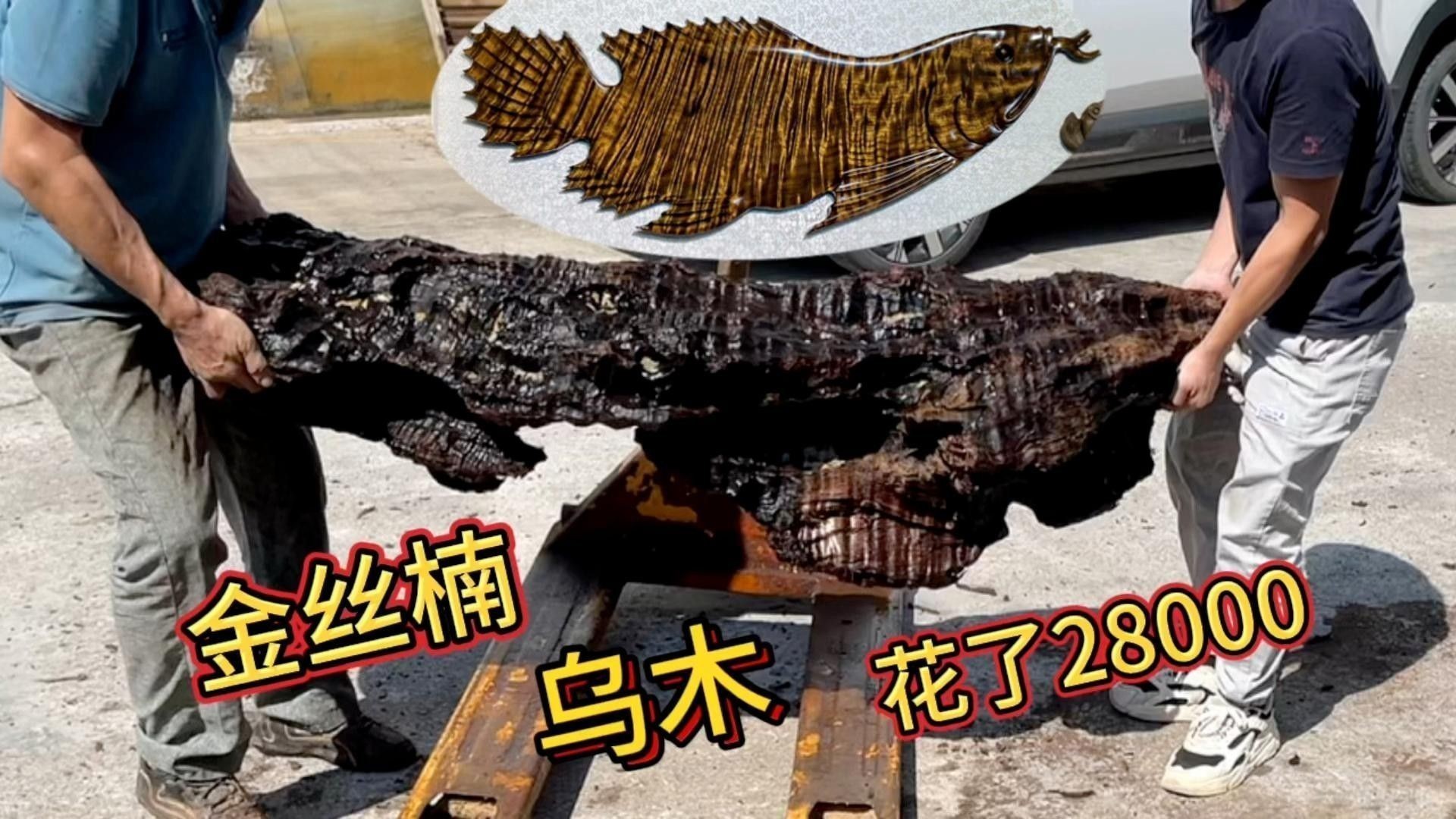 金龍魚擺件多久清潔一次：金龍魚擺件多久清洗 金龍魚擺件多久清潔一次：金龍魚擺件多久清洗 龍魚百科 第8張