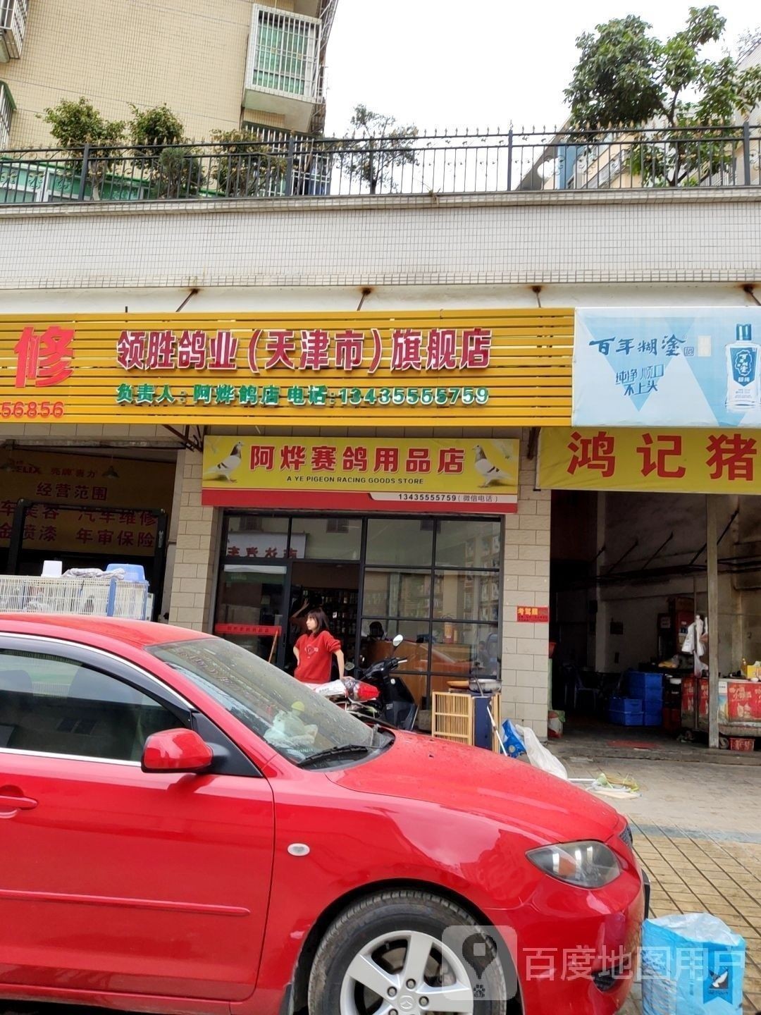 潮州金龍魚鴿業的具體地址在哪里？：潮州地區與“金龍魚”及鴿業相關具體地址信息信息 潮州金龍魚鴿業的具體地址在哪里？：潮州地區與“金龍魚”及鴿業相關具體地址信息信息 龍魚百科 第2張