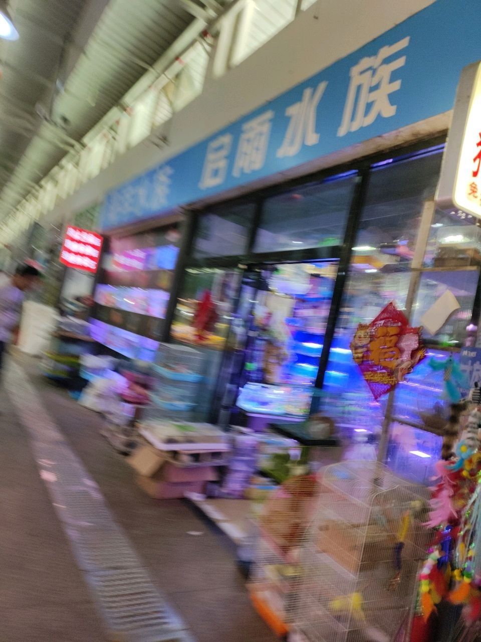 推薦幾家信譽(yù)好的龍魚魚苗批發(fā)商：<strong><mark>北京</mark></strong>地區(qū)信譽(yù)較好的龍魚魚苗批發(fā)商推薦