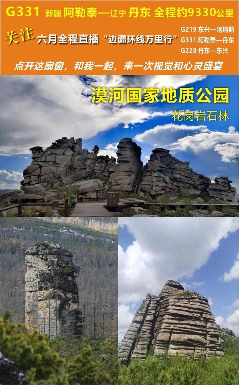 黑桃a魚脂鯉科分享黑桃a魚圖片和銀板魚能長到多大，銀白色的白子銀板魚體長可達多大？哪種銀板魚最好看？
