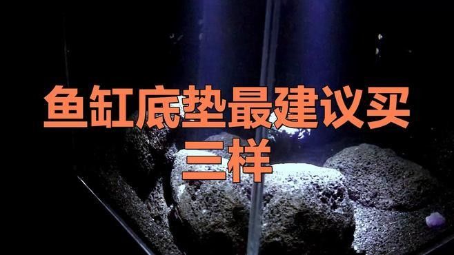 龍魚魚缸背景布有哪些材質：龍魚背景布的常見材質及特點
