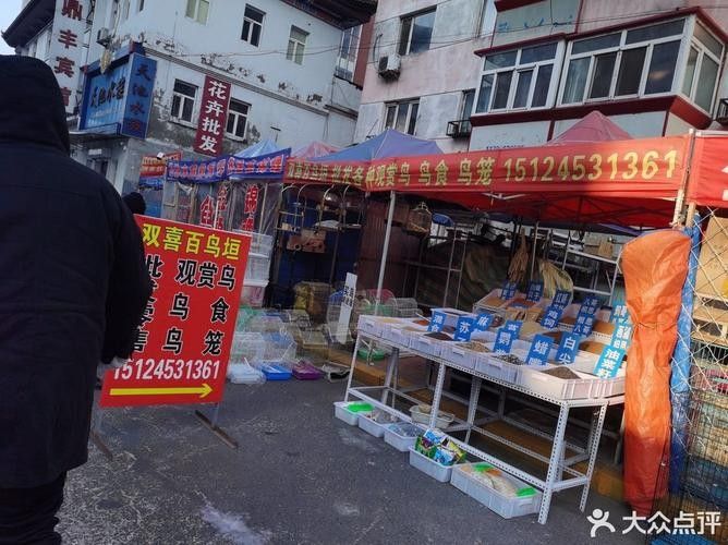 道外區哪家龍魚店口碑最好：哈爾濱道外區與龍魚相關的店鋪中，紅龍魚館的龍魚品種有哪些